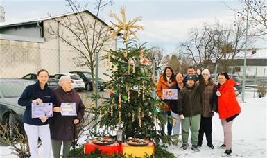 Samariterbund Burgenland: Zweites Leben für Christbäume