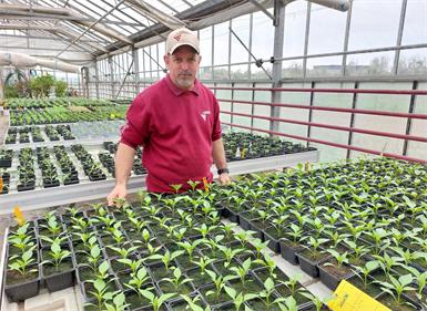 So wird der Garten fit für die Saison