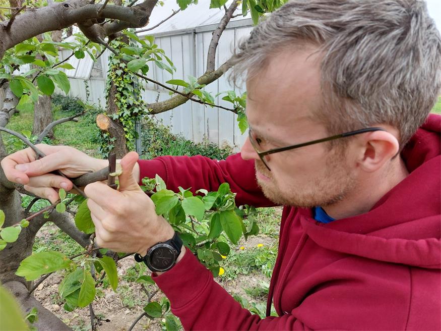 So wird der Garten fit für die Saison So wird der Garten fit für die Saison