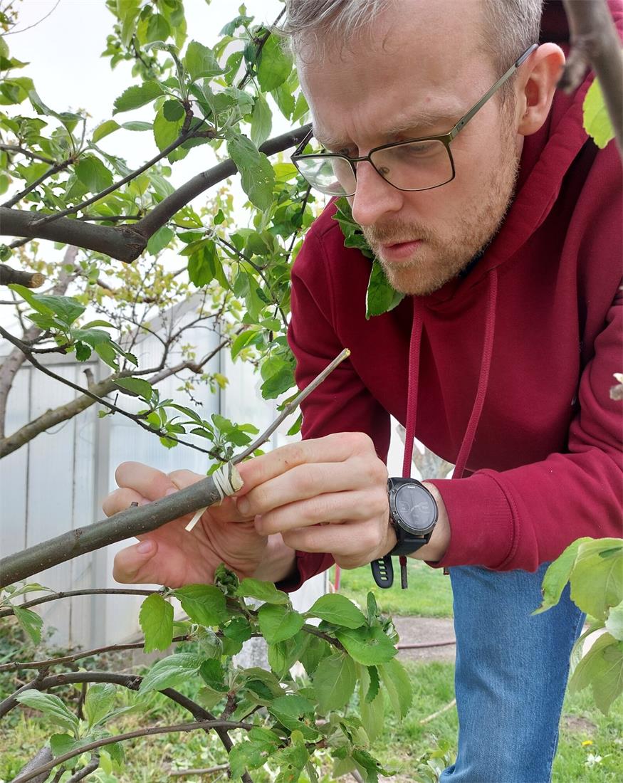 So wird der Garten fit für die Saison So wird der Garten fit für die Saison