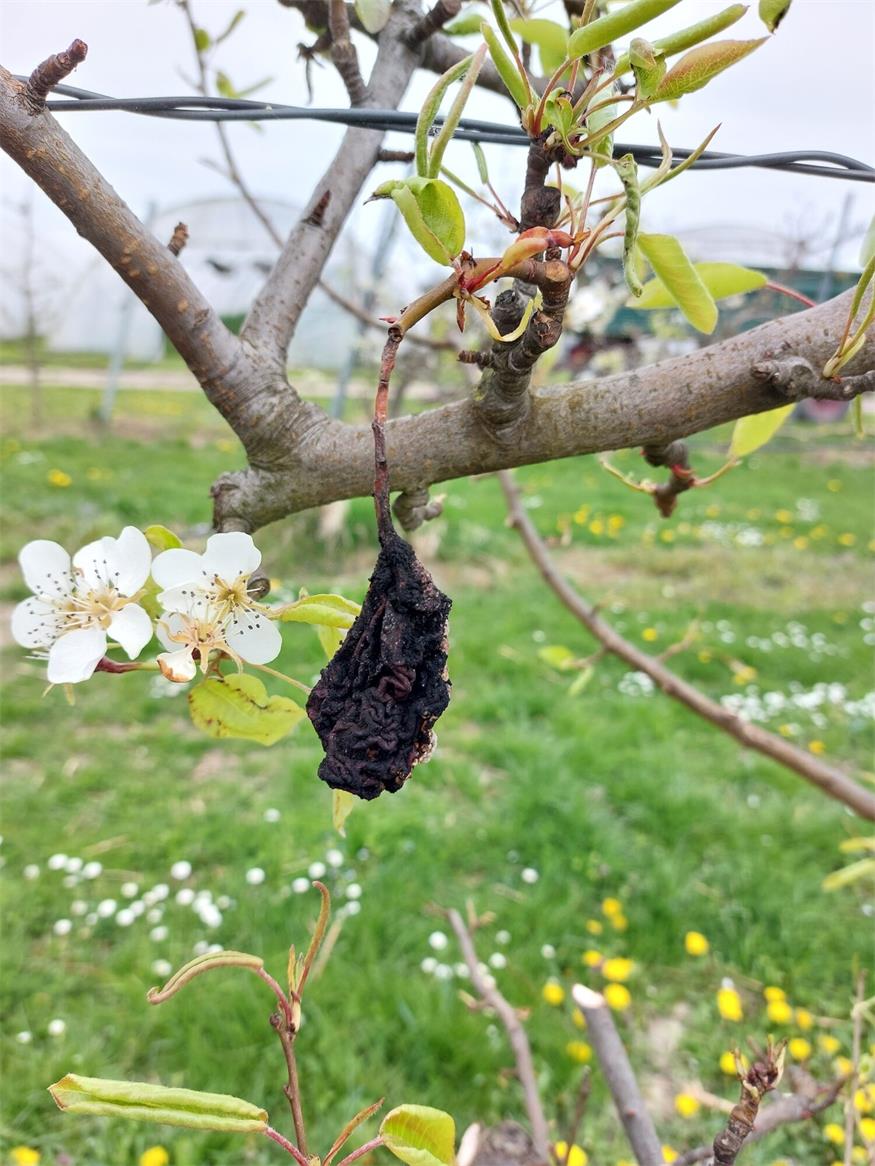 So wird der Garten fit für die Saison So wird der Garten fit für die Saison