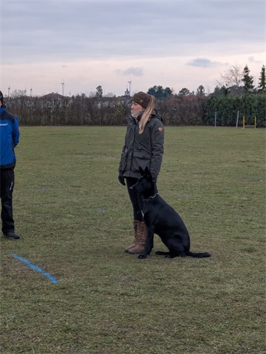 „Jeder Hund, unabhängig von Rasse und Alter, ist lernfähig“