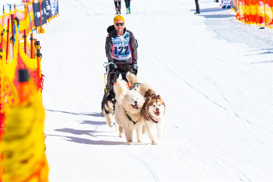 Ein Leben für die Hunde, den Sport und die Freiheit in der Natur 