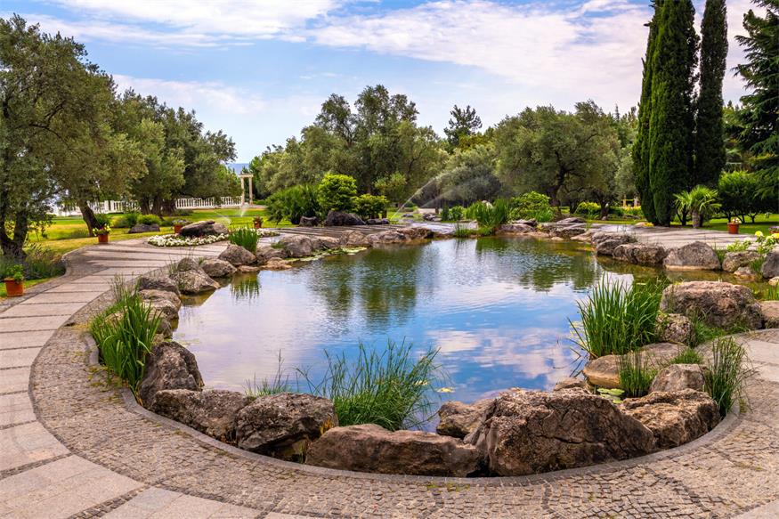 Vom Rasen zum Paradies: Warum ein Gartenteich die neue Sehnsucht ist 