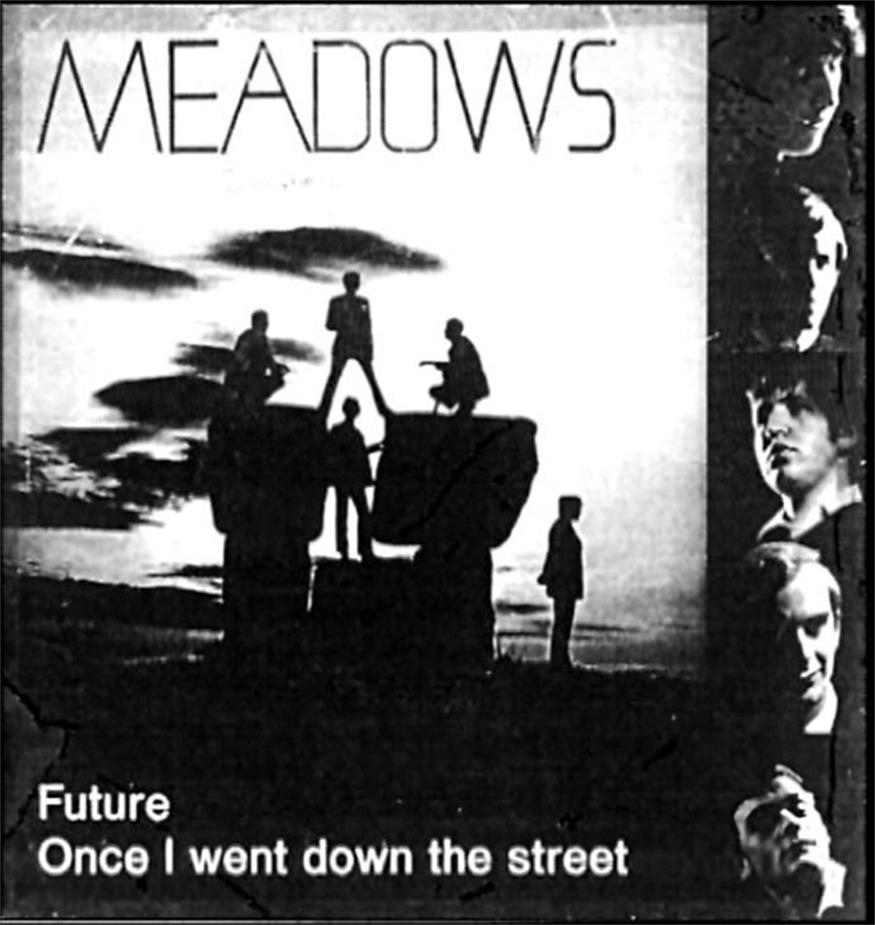 „The Meadows“: Ein kleiner Schatz österreichischer Popkultur 