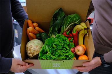 St. Andrä: Veganis stellt BioVit Box vor