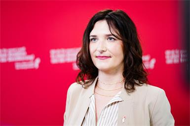 Nehammer-Rückzug: Landes-ÖVP bringt Blau ins Spiel, SPÖ will Experten