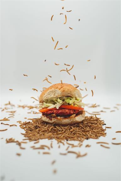„Wormwich“ bei „Le Burger“: Mehlwürmer statt Fleisch im Burger