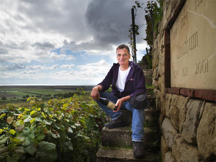 Bäume gegen die Hitze: Umathums Rezept für den Weinbau 