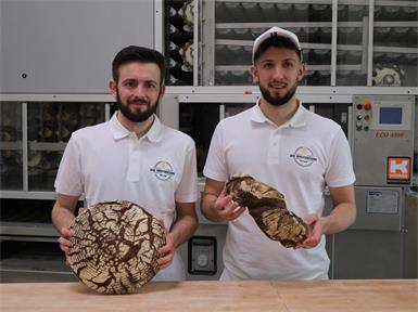 Pamhagen: Zwei Brüder backen Bio-Brot aus Leidenschaft