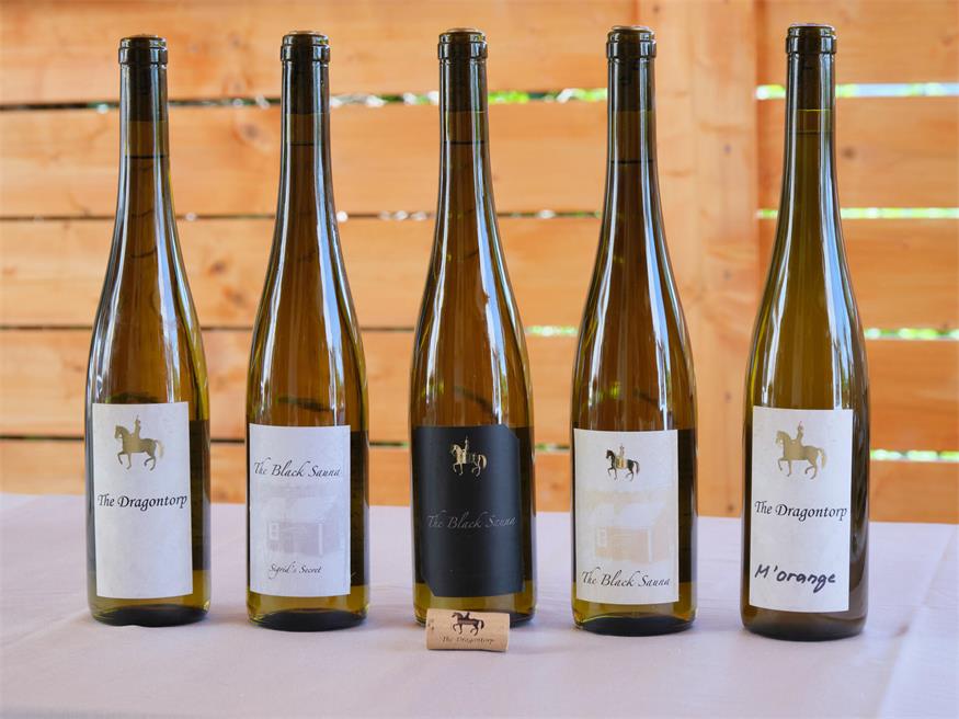 Illmitzer Entwicklungshilfe für finnischen Veltliner 