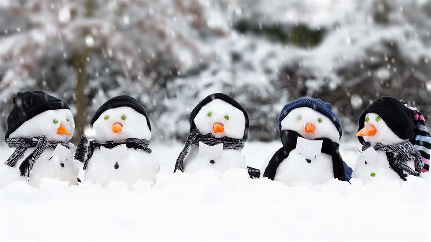 Ein Feiertag für den Schneemann Ein Feiertag für den Schneemann