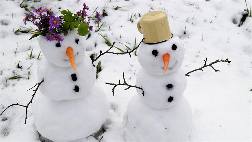 Ein Feiertag für den Schneemann Ein Feiertag für den Schneemann