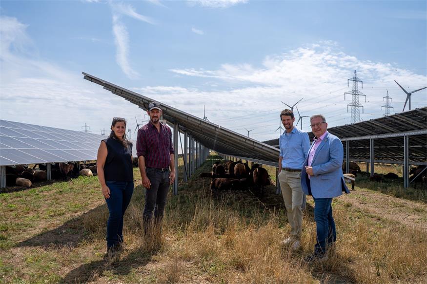 Sauberer Strom für Tausende: PV-Projekt Nickelsdorf II in Betrieb 