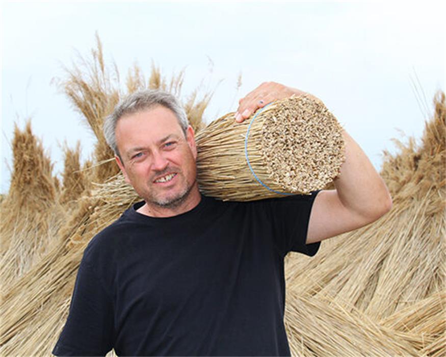 Ein Dach mit Symbolkraft: Schilf als Baustoff Ein Dach mit Symbolkraft: Schilf als Baustoff
