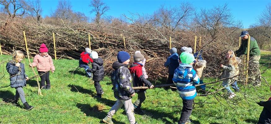 Naturpark Rosalia-Kogelberg: Kinder pflanzen Obstbäume 