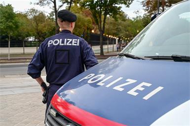 Polizei fing zwei entlaufene Stiere im Südburgenland ein