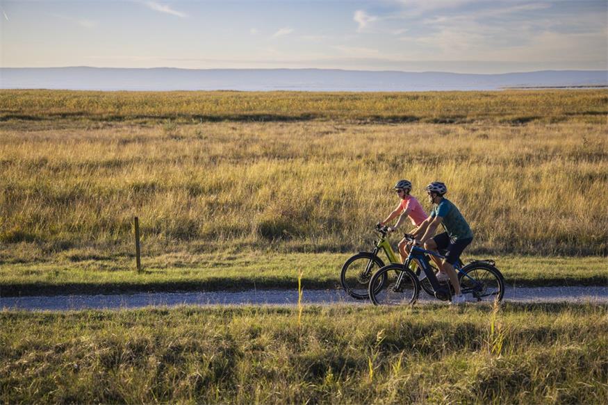 Um den Neusiedler See: Radweg mit Natur, Kultur und Kulinarik Um den Neusiedler See: Radweg mit Natur, Kultur und Kulinarik