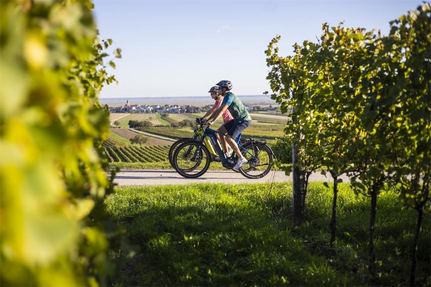 Um den Neusiedler See: Radweg mit Natur, Kultur und Kulinarik Um den Neusiedler See: Radweg mit Natur, Kultur und Kulinarik