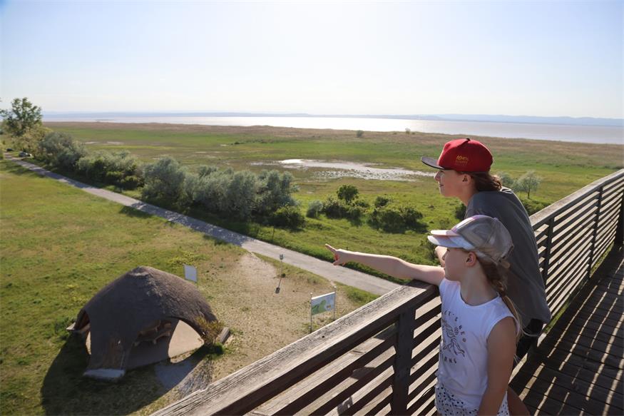 Um den Neusiedler See: Radweg mit Natur, Kultur und Kulinarik Um den Neusiedler See: Radweg mit Natur, Kultur und Kulinarik
