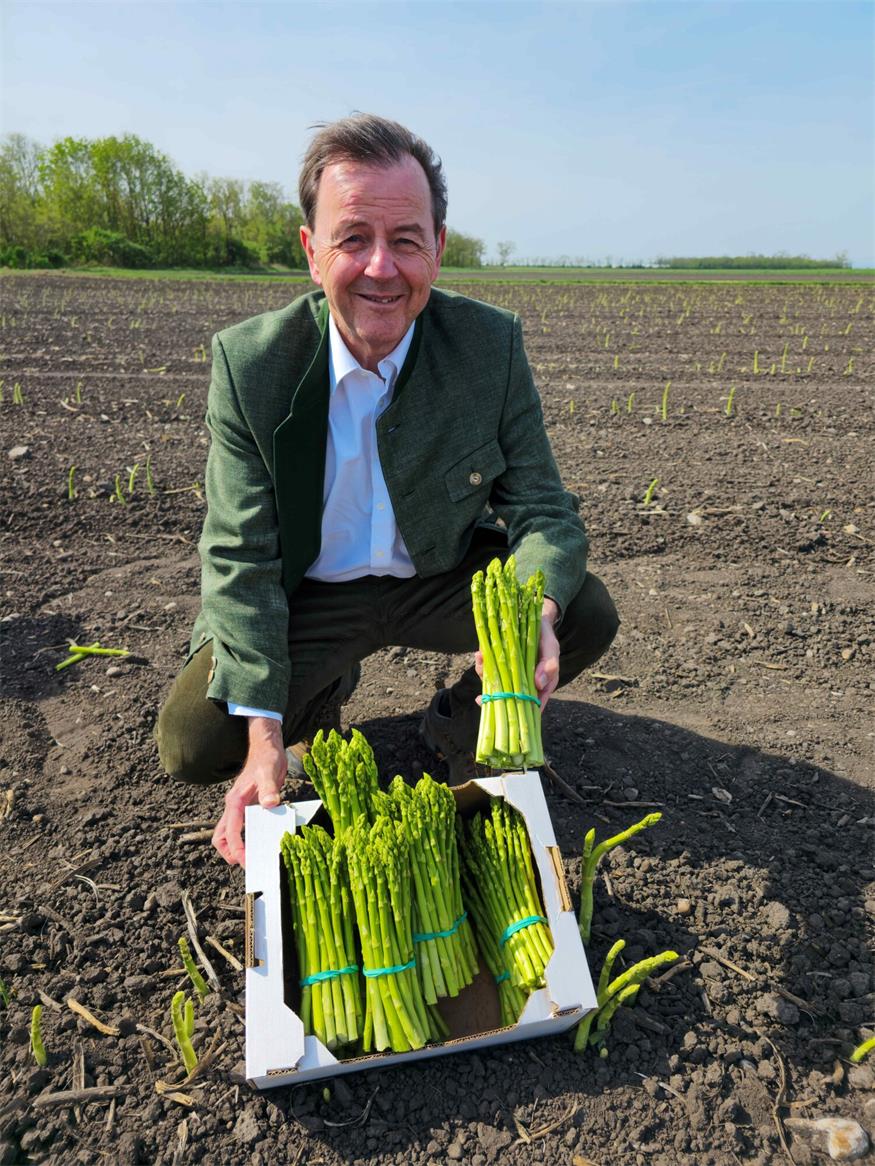 Haupternte: Burgenländischer Spargel liefert Vitaminkick 