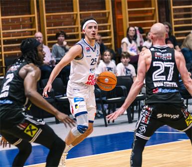 Die Sensation ist perfekt: Dragonz stehen im Halbfinale!