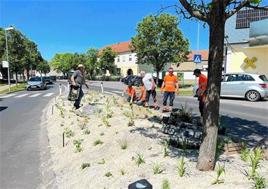 Tipps von Profis: Das hilft heute beim Gärtnern