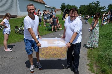 Quietscheenten schwimmen in Lutzmannsburg für guten Zweck um die Wette