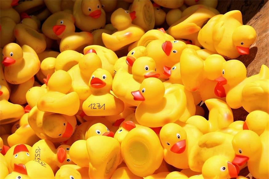 Quietscheenten schwimmen in Lutzmannsburg für guten Zweck um die Wette 
