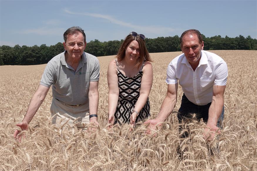 Blick auf die heurige Ernte. Landwirtschaftskammer Burgenland-Präsident Nikolaus Berlakovich, Winzerin und Präsidentin des Verbandes Blaufränkisch Mittelburgenland Lisa Kölly-Pfneisl und Präsident der österreichischen Landwirtschaftskammer Josef Moosbrugger (v.l.) begutachteten beim Ernte-Pressegespräch in Deutschkreutz die von Trockenheit gezeichneten Getreidebestände.
