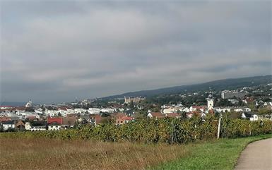 Blick von St. Georgen auf Eisenstadt.