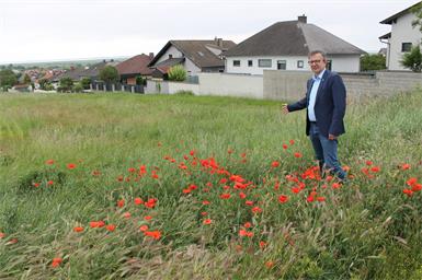 Bürgermeister Thomas Schmid vor den bald neu aufgeschlossenen Bauplätzen im Ortsteil Altenbergkräften.