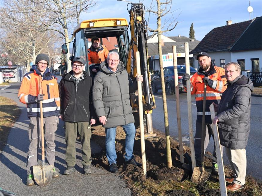 Bürgermeister Thomas Steiner und Stadtgartendirektor Stefan Ferschich bei einer Baumpflanzung in der Ruster Straße. Die Jungbäume mussten im Dürresommer 2026 intensiv bewässert werden.