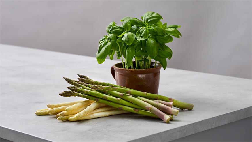 Burgenländischer Spargel kommt vor allem aus dem Seewinkel und aus Pöttsching.
