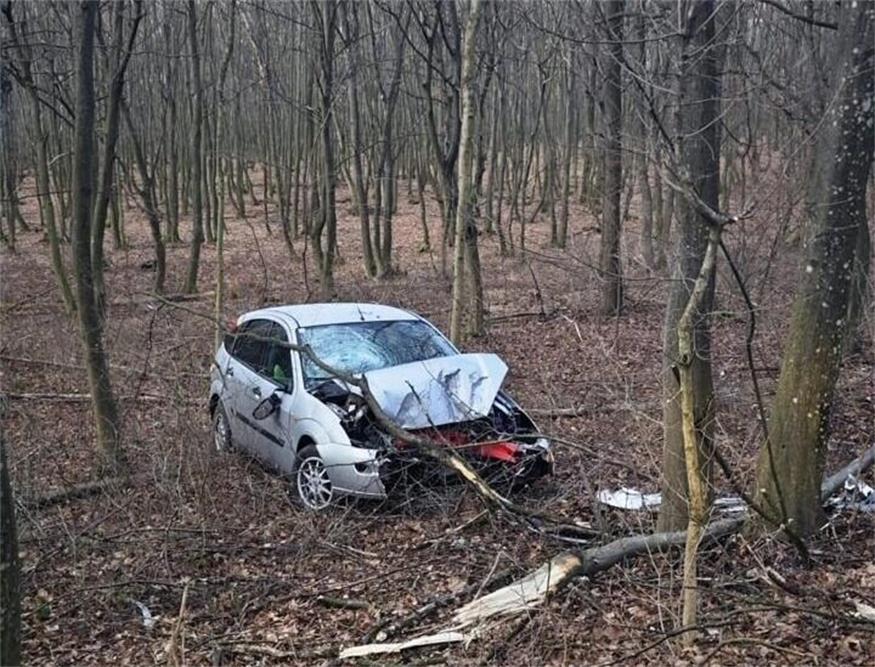 Das Ausweichmanöver endete im Wald.