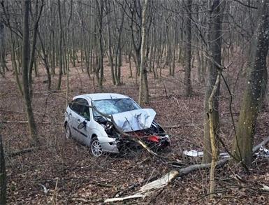 Das Ausweichmanöver endete im Wald.