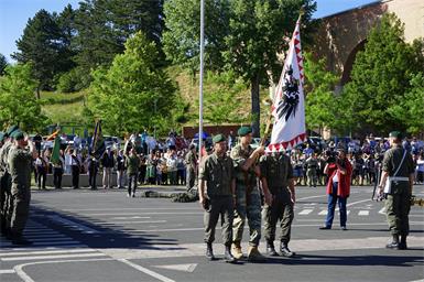 Das Bundesheer bei der feierlichen Angelobung in Mattersburg.
