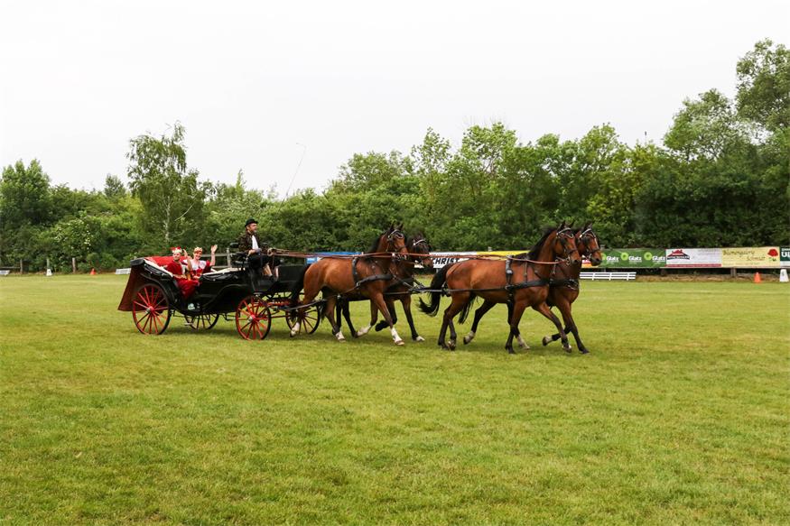Das Reitfest Zurndorf ist am 8. Juni ein ganz besonderer Höhepunkt zu Pfingsten. In einer herrlichen naturbelassenen Umgebung kann man einfach abschalten und die Harmonie von Pferd und Mensch erleben. Ein Frühschoppen um 11:30 mit den „Spätstartern“ stimmt auf das Festprogramm um 14:00 ein. Dressurreiten, Springquadrille, Voltigieren, Nostalgienummer, Zuckerlwagen und noch viel mehr begeistern. 