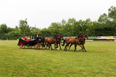 Das Reitfest Zurndorf ist am 8. Juni ein ganz besonderer Höhepunkt zu Pfingsten. In einer herrlichen naturbelassenen Umgebung kann man einfach abschalten und die Harmonie von Pferd und Mensch erleben. Ein Frühschoppen um 11:30 mit den „Spätstartern“ stimmt auf das Festprogramm um 14:00 ein. Dressurreiten, Springquadrille, Voltigieren, Nostalgienummer, Zuckerlwagen und noch viel mehr begeistern. 