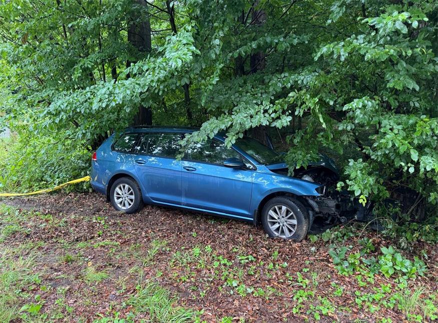 Das Unfallfahrzeug kam im angrenzenden Wald zum Stillstand.