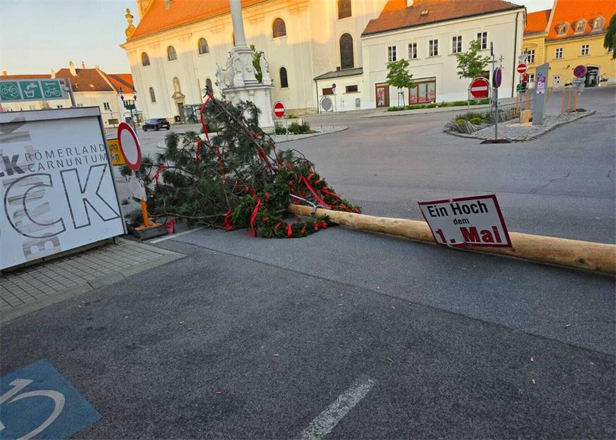 Der Brucker Maibaum wurde in der Nacht zum 1. Mai umgeschnitten. 