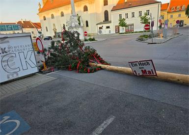 Der Brucker Maibaum wurde in der Nacht zum 1. Mai umgeschnitten. 