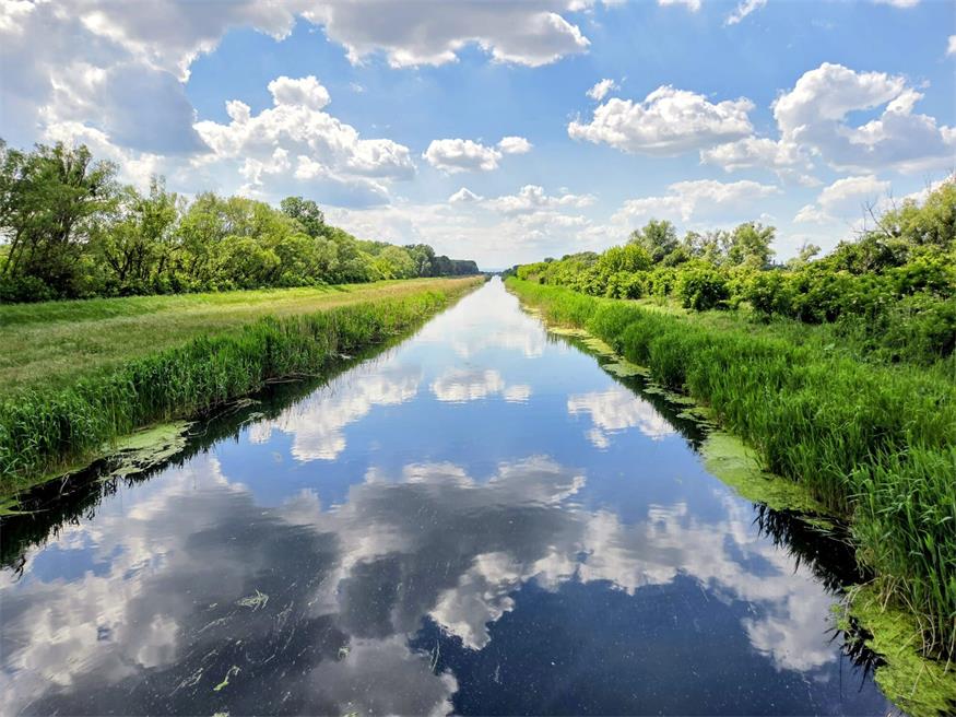 Der Einser-Kanal, einst zur Entwässerung des Hanságs und zur Regulierung des Neusiedler Sees angelegt, ist MItte Mai gut gefüllt. Das Wasser fließt hier fast vom ganzen Bezirk zusammen, landet schließlich in Ungarn und ist für den heimische Grundwasserkörper verloren.