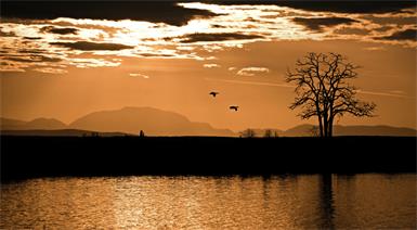 Der Nationalpark Neusiedler See-Seewinkel wird um 150 Hektar erweitert.