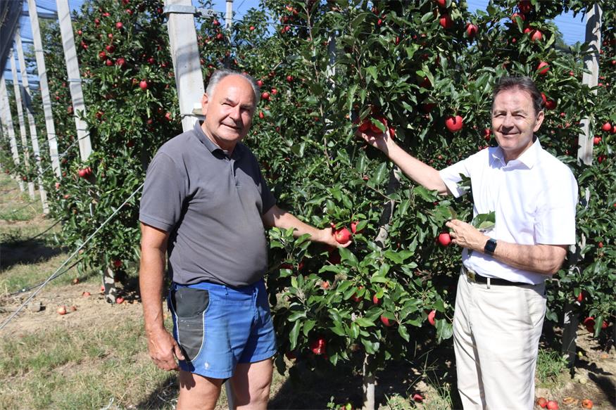 Der Präsident des Burgenländischen  Obstbauverbandes, Johann Plemenschits, und Landwirtschaftskammer-Präsident Nikolaus Berlakovich appellieren an die Konsumentinnen und Konsumenten regionales Obst zu kaufen und die heimischen Obstbauern zu unterstützen.