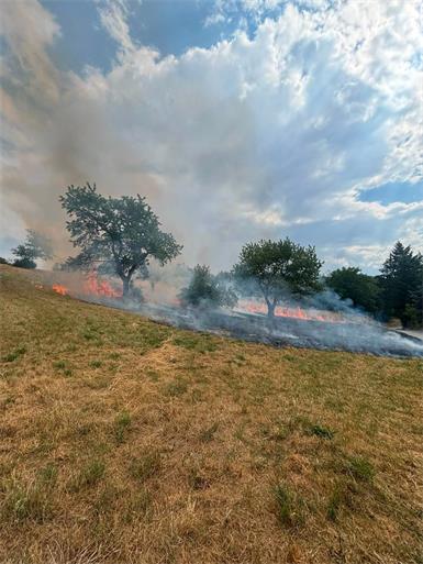 Der Wind fachte die Flammen zusätzlich an.