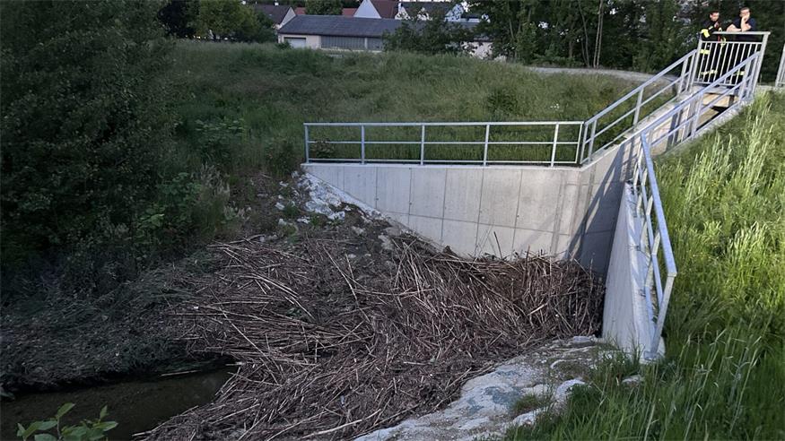 Der Zulauf zum Rückhaltebecken war komplett mit Treibgut und Ästen bedeckt.