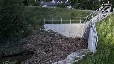 Der Zulauf zum Rückhaltebecken war komplett mit Treibgut und Ästen bedeckt.