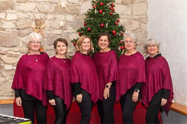 Der a-capella Chor TonTauben hat sich in den vergangenen Jahren im Neusiedler Bezirk und darüber hinaus einen Namen gemacht. Die Sängerinnen Christa Lindner, Anita Waba, Isabell Lichtenberger, Brigitta Wolf, Silvia Hofmann und Uschi Zirnfuss wussten auch bei ihren Adventkonzerten wieder zu begeistern.