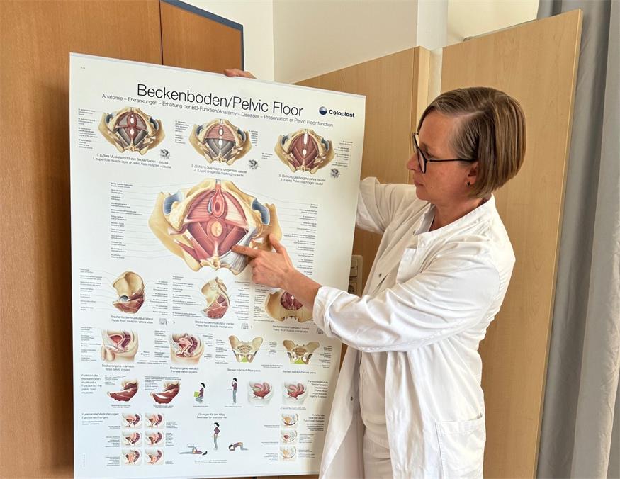 Die Beurteilung des Beckenbodens, den Primaria Eva Pavelka hier auf einem Schaubild zeigt, ist eines von vielen Angeboten der neuen Spezialambulanz für Urogynäkologie in der Klinik Oberpullendorf.